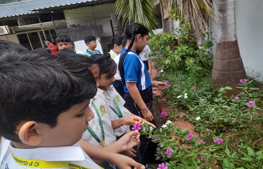 Thane primary school explore